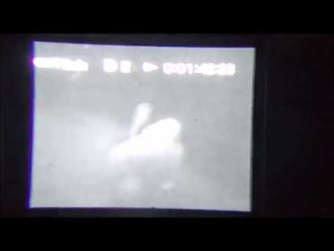 LiL LANDMINE - SAY SUMN (PROD. DEAF) *REAL FOOTAGE*