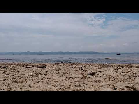 2020-08-06 Sandy Hook Bay Side Beach