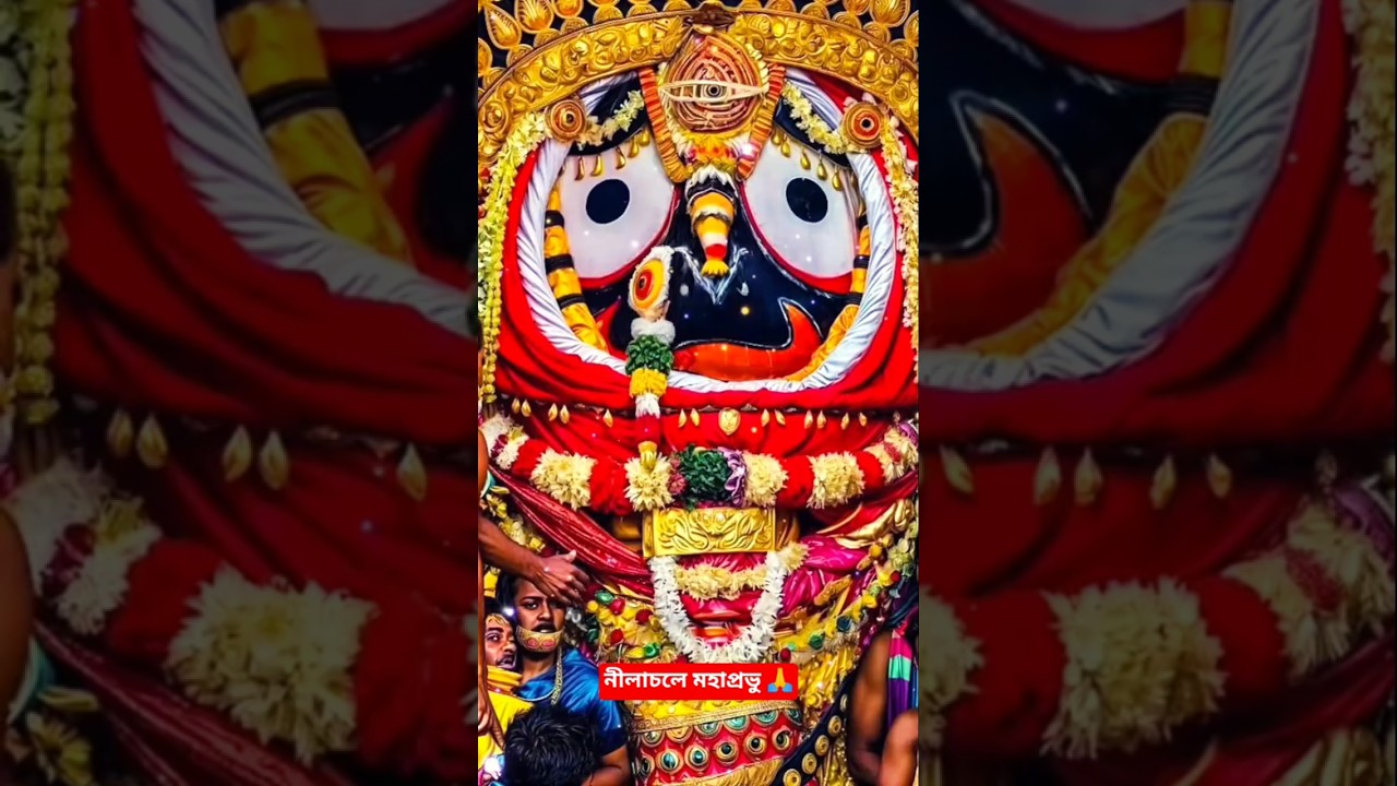 নীলাচলে মহাপ্রভু 🙏🦚💐🦚💐🦚 #shorts #youtubeshorts #trending #viral #song #shortsfeed #trending 🥰🥰