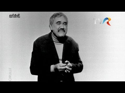 Dem Rădulescu şi Mişu Ştefănescu - Oul şi boul (1977)