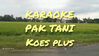 Download lagu Pak Tani Koes plus (Karaoke) sus pandawa mp3
