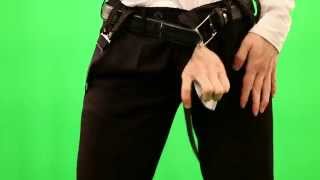 Hot Pistol Shrimp - Sex Pest