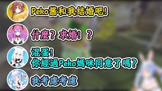 突然向族長求婚的沁音！好狐：經過媽咪同意了嗎混蛋！Vivi：什麼？求婚！？【白上吹雪×戌神沁音×兔田佩克拉×綺綺羅羅薇薇×輪堂千速】【hololive中文精華】【ホロライブ切り抜き】
