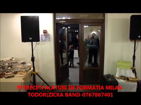 FORMATIA MILAN TODOR(ZICKA BAND) live 2014-splet 1