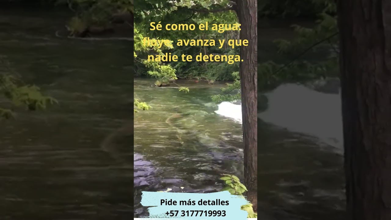 Luis Oswaldo Aristizábal Ceballos-5