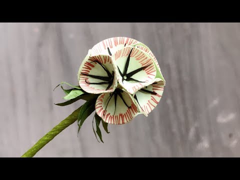 ABC TV | How To Make Scabiosa Pods Paper Flower With Shape Punch - Craft Tutorial