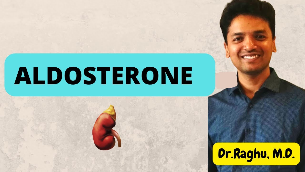 Aldosterone - Regulation, actions & mechanism of action