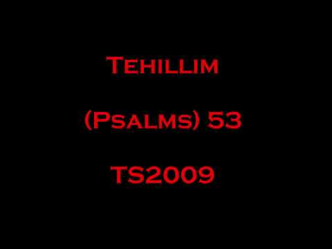 53 Tehillim (Psalms) - Read Along