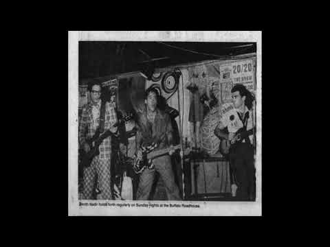 Zenith Nadir - Tampa’s Power Pop / Punk Band