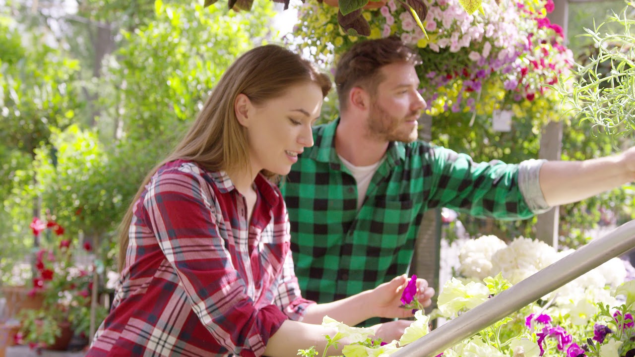 Company video RENEWMD VITALITY