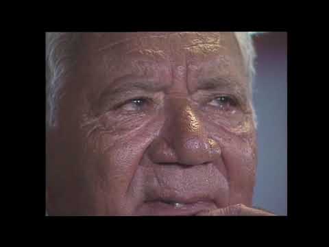 VILA ISABEL 2002 - HOMENAGEM A NILTON SANTOS