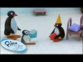 Pingu And The Yellow Hat Pingu Cartoons For Kids