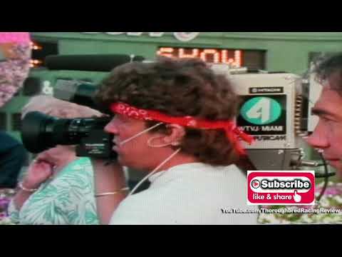 1984 FLORIDA DERBY   Dr  Carter, Swale & Darn That Alarm