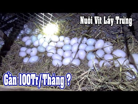 download lagu mp3 mp4 Trung Tm Nhit i Vit Nga, download lagu Trung Tm Nhit i Vit Nga gratis, unduh video klip Trung Tm Nhit i Vit Nga
