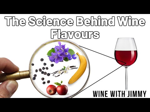 Understanding Wine Aromas: The Science Behind Your Favourite Flavours 🍷🔬
