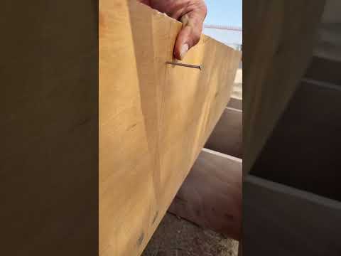 6'×4'ft store box ply wood #woodworking #diy #box #skill #shorts @woodworking