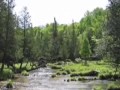 River of Jordan, Ricky Skaggs