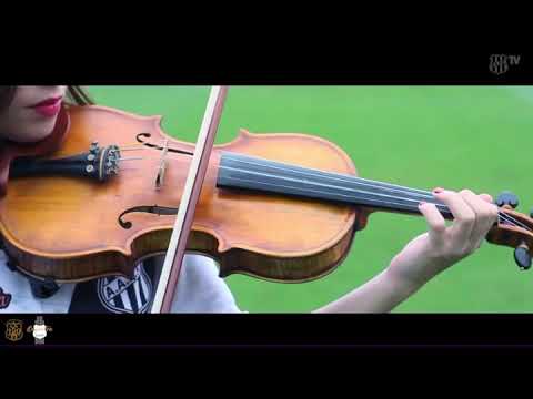 Macaca Querida, no Violino