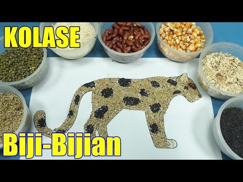 83 Gambar Kolase Burung Dari Biji Bijian HD 83 Gambar Kolase Burung Dari Biji Bijian HD