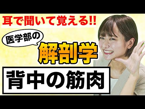 医学科 これを覚えてなければ試験不合格!?覚えにくい解剖学「背中の筋肉」について(解剖学,筋肉,覚え方,勉強法)