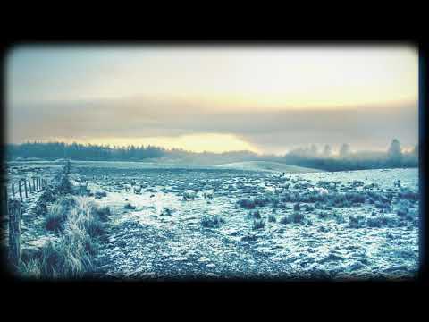 wtfoch. - whitenight [Chill Beat]