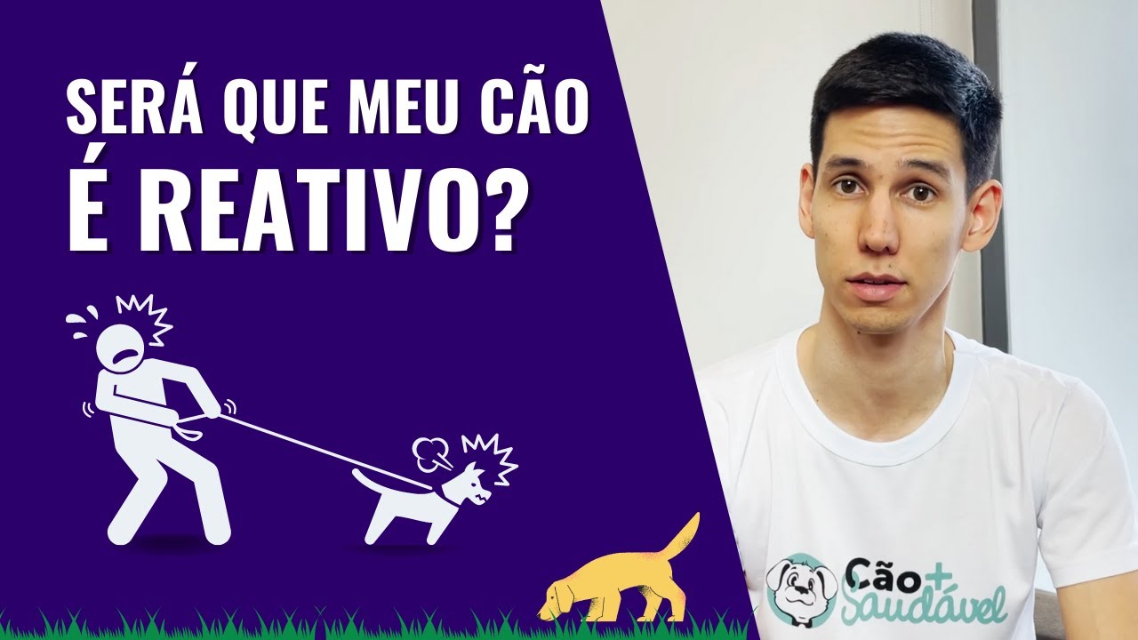 Cachorro REATIVO, AGRESSIVO ou MEDROSO Descubra se o seu é.