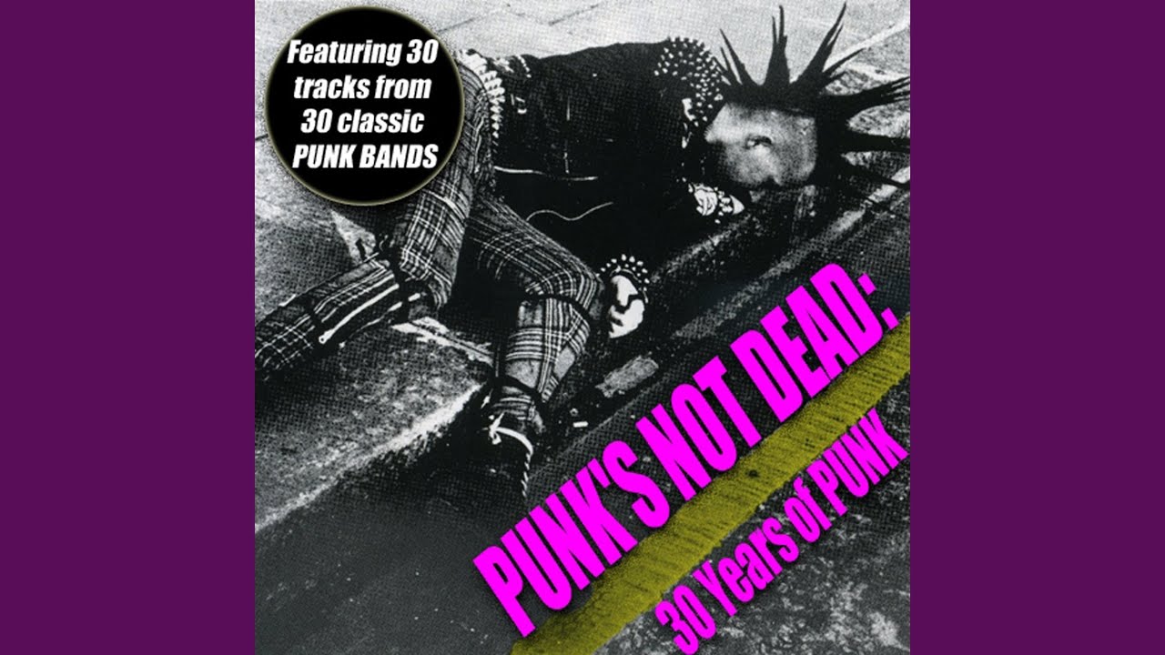 Punks Not Dead (Live)
