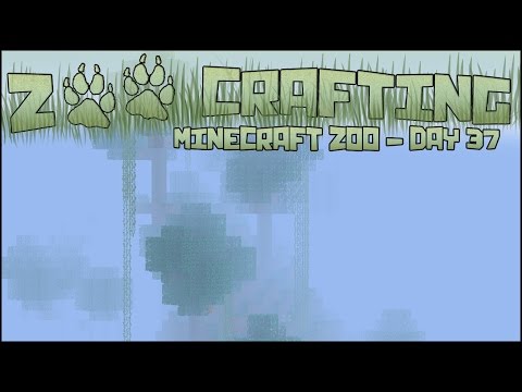 Into the Misty Jungle 🐘 Zoo Crafting: Season 2 - Episode #37