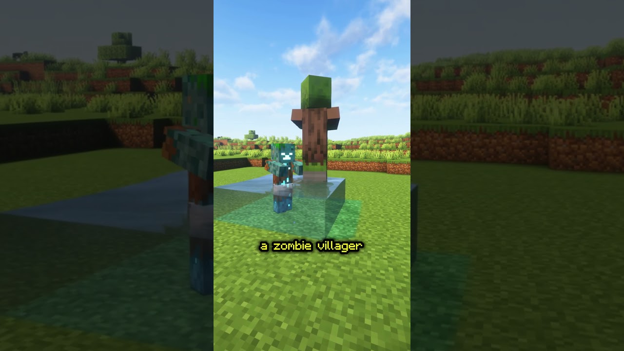 TRIDENT DROWNED SECRET FEATURE in Minecraft