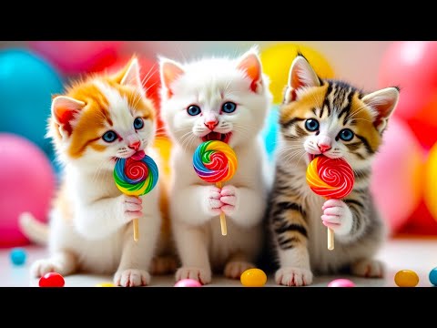 Kalau Kau Suka Hati Tepuk Tangan ❤️ Lagu Anak Indonesia Viral Terbaru