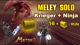 Metin2 DE Azrael - SOLO Meley mit Ninja &amp; Krieger / Gute Kombi / 300 Won im Monat