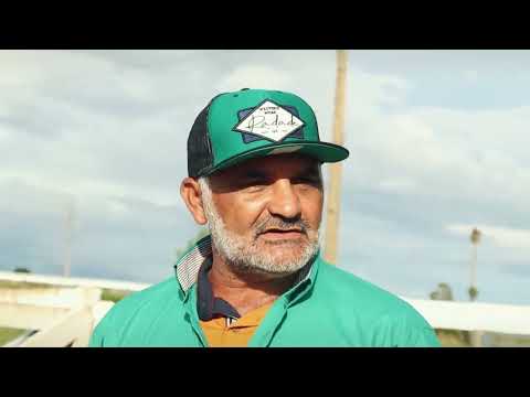 VIDA DE GADO DiPaulo Silva (Clipe Oficial)