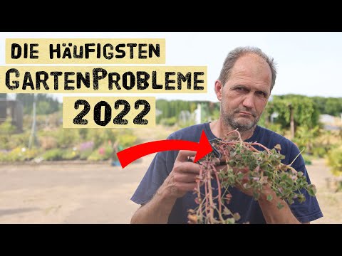 , title : 'Plagen dich auch diese Schädlinge die 2022 häufig auftreten? Warum wollen Pflanzen nicht wachsen?'