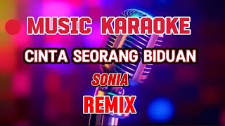 Download lagu CINTA SEORANG BIDUAN ~ KARAOKE REMIX ~ SONIA mp3