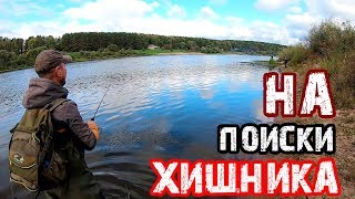 Ловля щуки на реке осетр в сентябре
