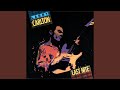 All Blues - Larry Carlton - Topic All Blues