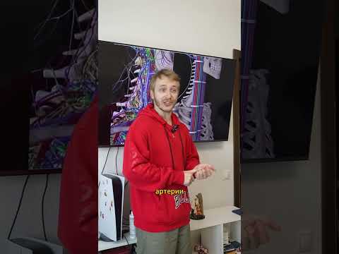 РАЗРАБОТЧИК ЛЮДЕЙ | THEMEHOME #шортс