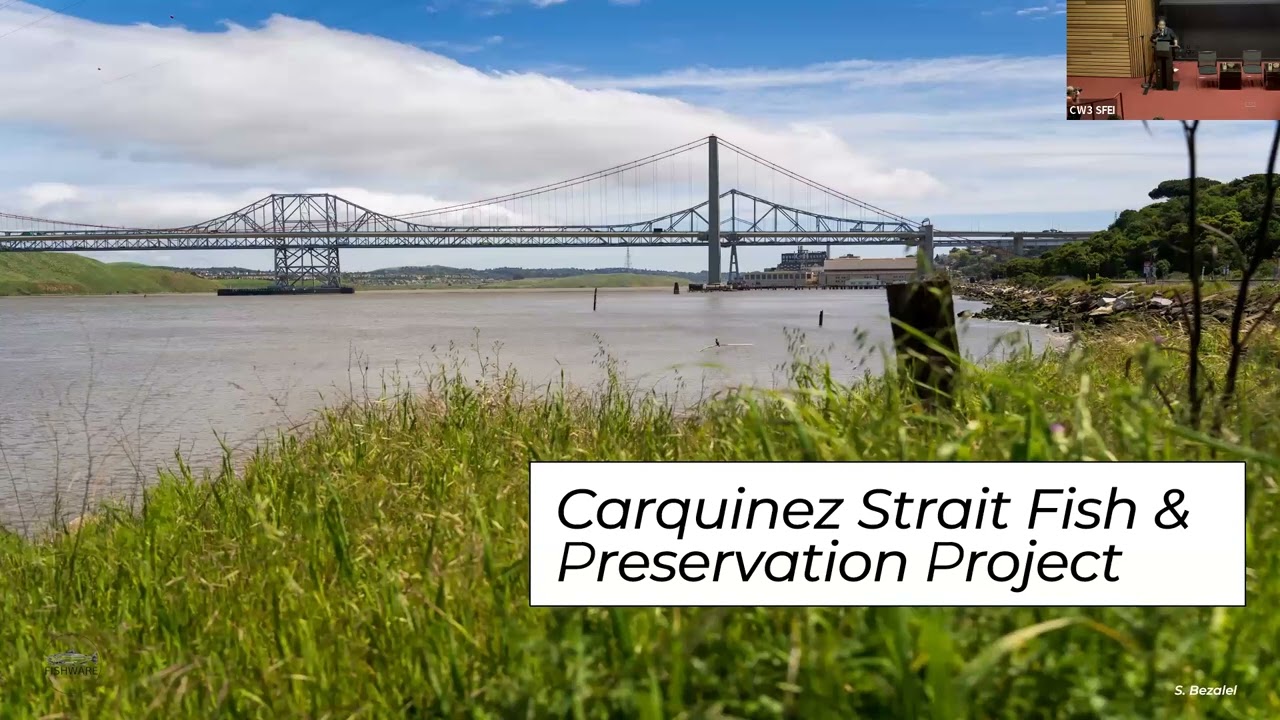 Session 3 Fish Contamination