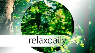 Calm Relaxing Music - think, meditate, enjoy - N°038 (4K)