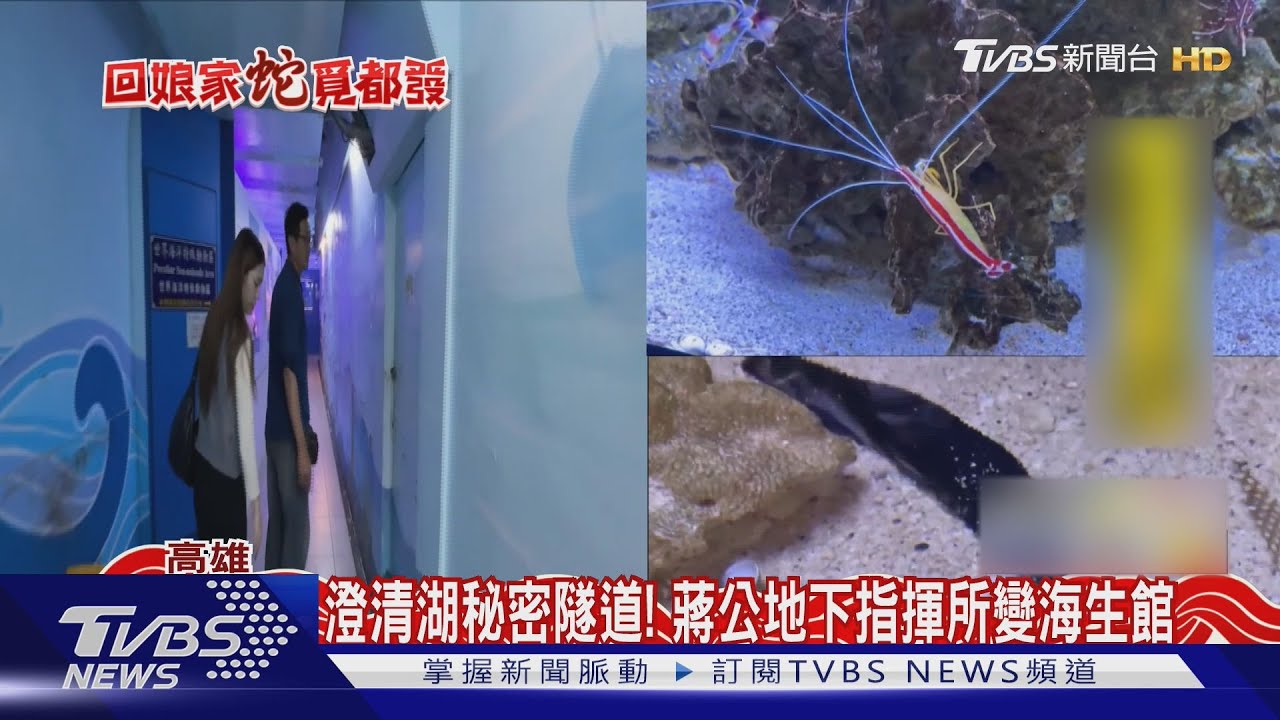 澄清湖藏隧道!昔蔣公地下指揮所 改建海洋生物館