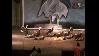preview picture of video 'Choreo 2007 - 'DREAMS' by Dance Club Bits Pilani'