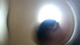 グルグル我が子