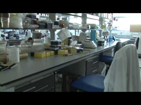 Living With The Fog (Part 1)