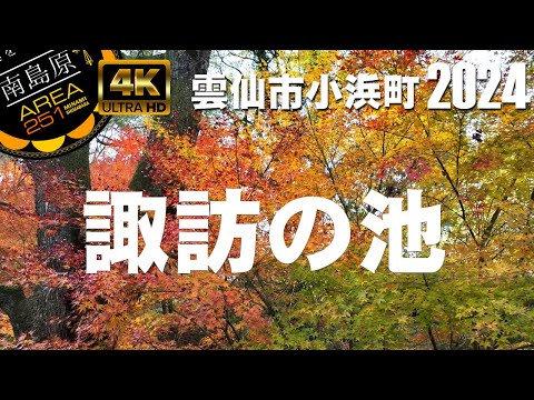 諏訪の池｜雲仙天草国立公園｜雲仙市小浜町｜2024年紅葉｜南島原ひまわり観光協会