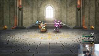 【いばらの道】竜王のひ孫仲間にしたい【ドラゴンクエストI＆II】
