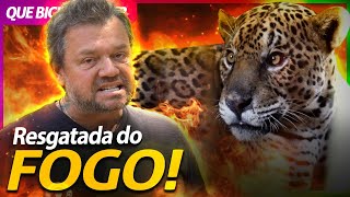 Miniatura do vídeo