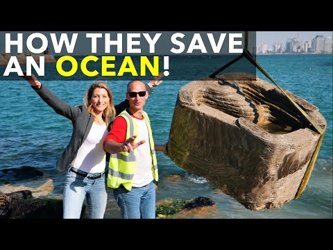 彼らはどのようにして海を救うのか! (How They Save An Ocean!)