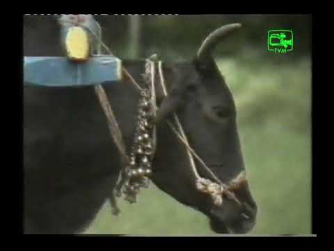 Haputhale Kanda naginawa by Maxie Jayaweera from Torana Archives