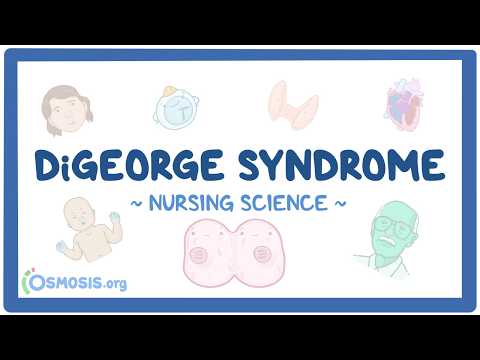 Hội chứng DiGeorge (DiGeorge Syndrome)