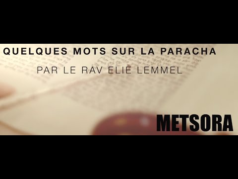 Une prière pour une erreur ? Rav Elie Lemmel - Parasha Metsora
